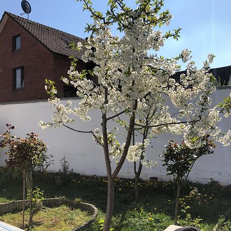 Apartament Kleve-Kellen Kleve  Zewnętrze zdjęcie